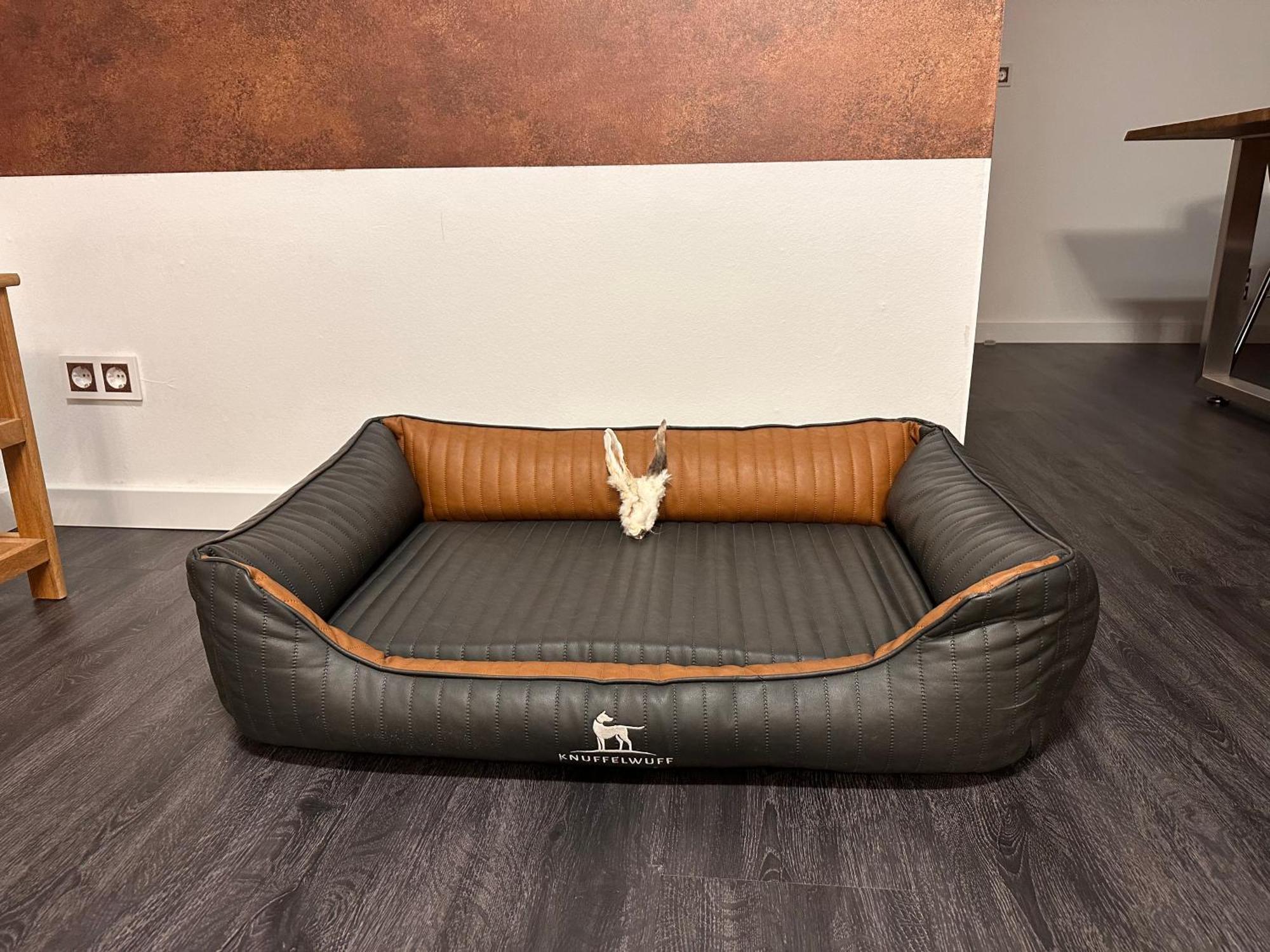 Urlaub Mit Hund -Ferienwohnung "Ahribella"- Glowe Exterior foto
